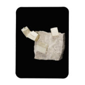 シェールの黄鉄鉱の結晶 マグネット (縦)