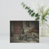 シェーン・ド・シャス：ル・ブタン（一部） ポストカード (スタンド正面)