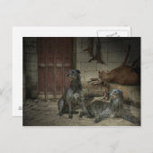 シェーン・ド・シャス：ル・ブタン（一部） ポストカード (正面/裏面)