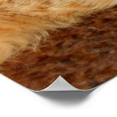 シエスタリラックスの猫 ポスター (角)