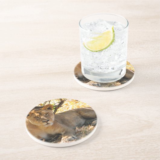 シエスタ時間 コースター (側面)