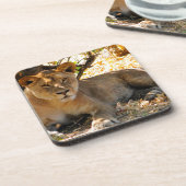 シエスタ時間 コースター (左側)