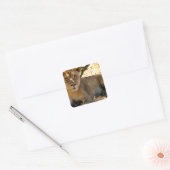 シエスタ時間 スクエアシール (封筒)