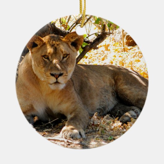 シエスタ時間 セラミックオーナメント (正面)