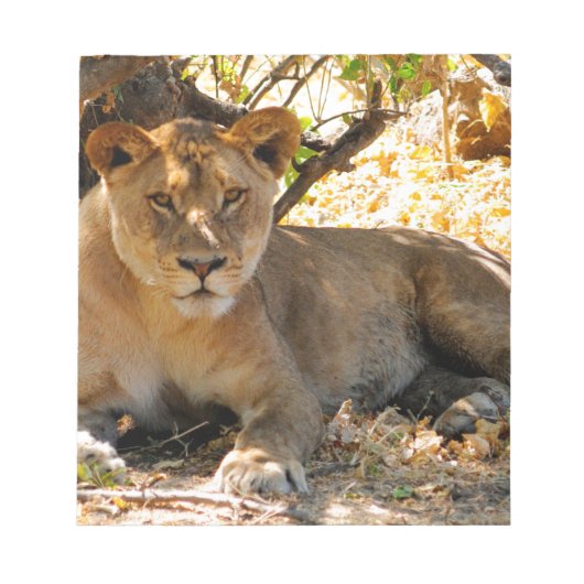 シエスタ時間 ノートパッド (正面)