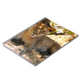 シエスタ時間 ノートブック (左側)