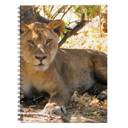 シエスタ時間 ノートブック (正面)