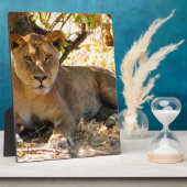 シエスタ時間 フォトプラーク (側面)