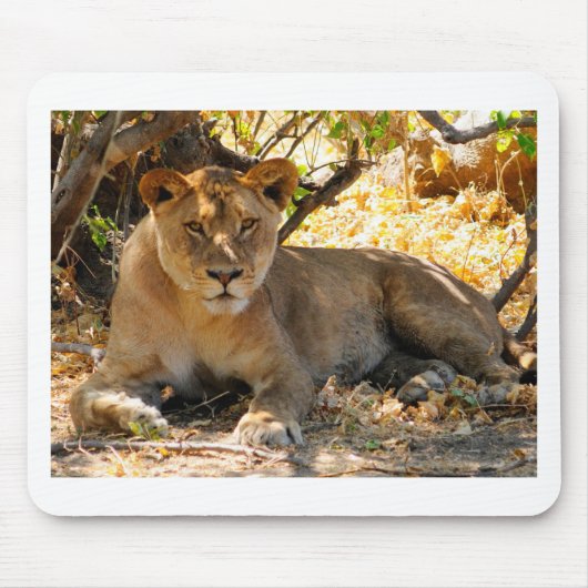 シエスタ時間 マウスパッド (正面)