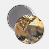 シエスタ時間 マグネット (正面/裏面)