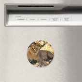 シエスタ時間 マグネット (インサイチュ (食洗機))