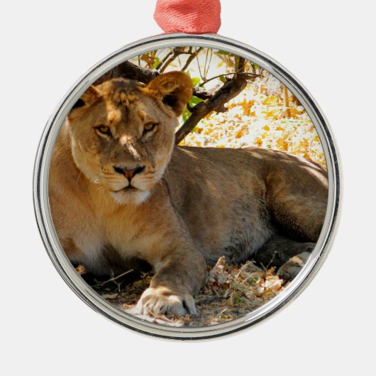 シエスタ時間 メタルオーナメント (正面)