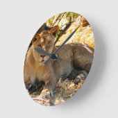 シエスタ時間 ラウンド壁時計 (傾斜)