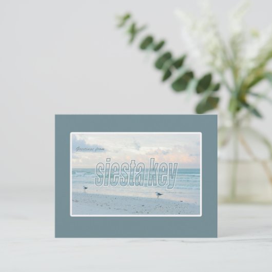 シエスタ鍵フロリダポストカード ポストカード (スタンド正面)