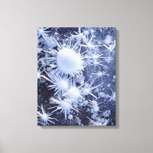 シエラの氷の結晶 キャンバスプリント (正面)