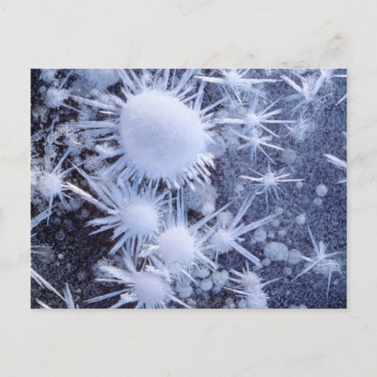 シエラの氷の結晶 ポストカード (正面)