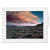 シエラクレッシェンド (正面横)