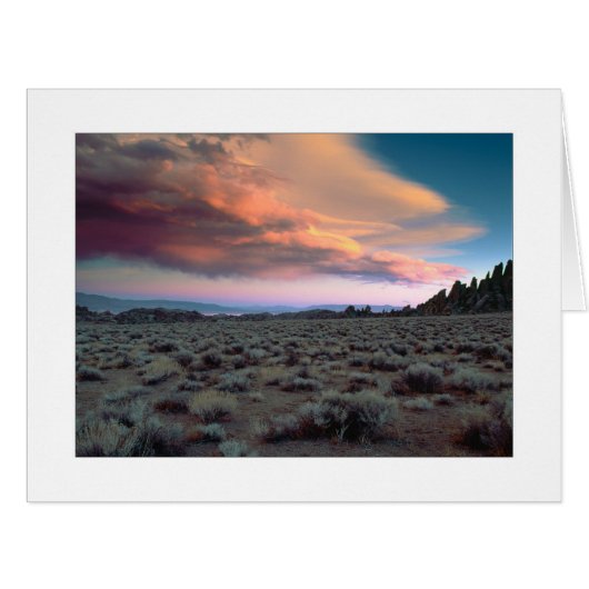 シエラクレッシェンド (正面横)