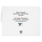 シエラクレッシェンド (裏面横)