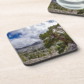 シエラジュニパーと常緑樹 コースター (左側)