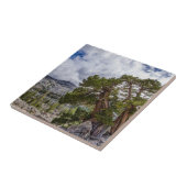 シエラジュニパーと常緑樹 タイル (側面)