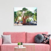 シエラスの古い成長のジュニパーの木 キャンバスプリント (インサイチュ (リビング))