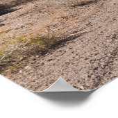 シエラスへの道 ポスター (角)