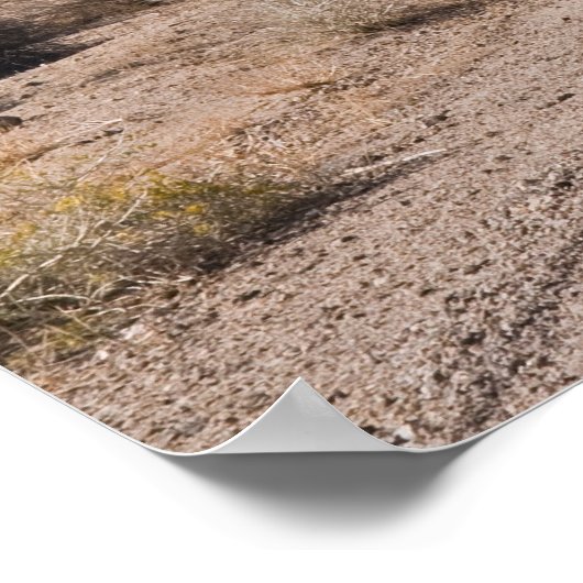 シエラスへの道 ポスター (角)