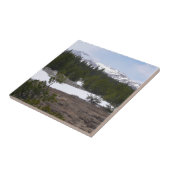 シエラネバダ山脈とヨセミテの雪 タイル (側面)