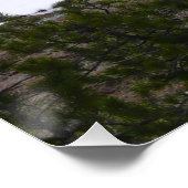 シエラネバダ山脈とヨセミテの雪 ポスター (コーナー)