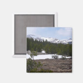 シエラネバダ山脈とヨセミテの雪 マグネット (正面/裏面)