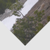 シエラネバダ山脈とヨセミテの雪 薄葉紙 (詳細)