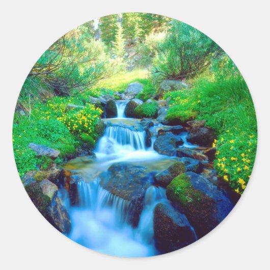 シエラネバダ山脈のスカイメドウズ ラウンドシール (正面)