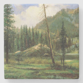 シエラネバダ山脈（アメリカンウッドランド） ストーンコースター