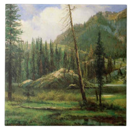 シエラネバダ山脈（アメリカンウッドランド） タイル