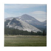 シエラネバダ山脈IIIヨセミテ国立公園 タイル (正面)