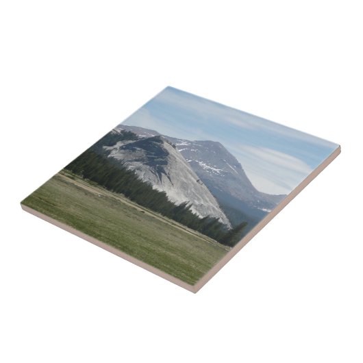 シエラネバダ山脈IIIヨセミテ国立公園 タイル (側面)