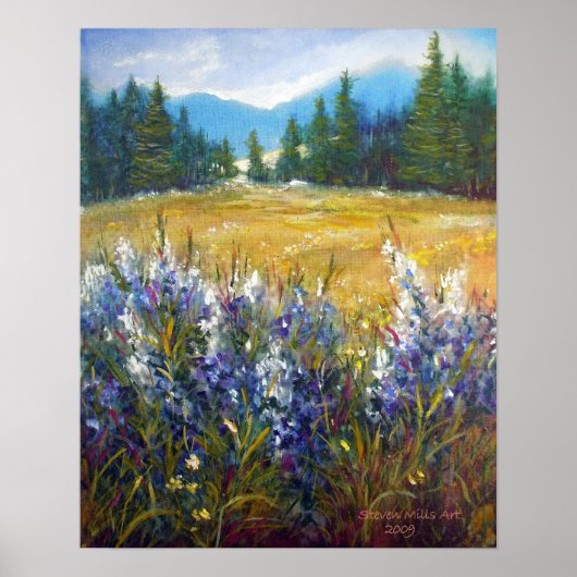 シエラネバダ ポスター (正面)