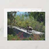 シエラベアキュブ ポストカード (正面/裏面)