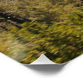 シエラマウンテンバレー ポスター (コーナー)