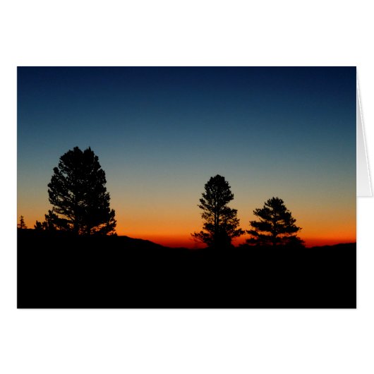 シエラ空白のサンライズ (正面横)