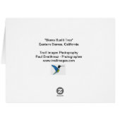 「シエラ・サンリット・ツリー」 (裏面横)