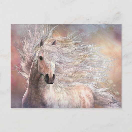 シエロ葉書 ポストカード (正面)