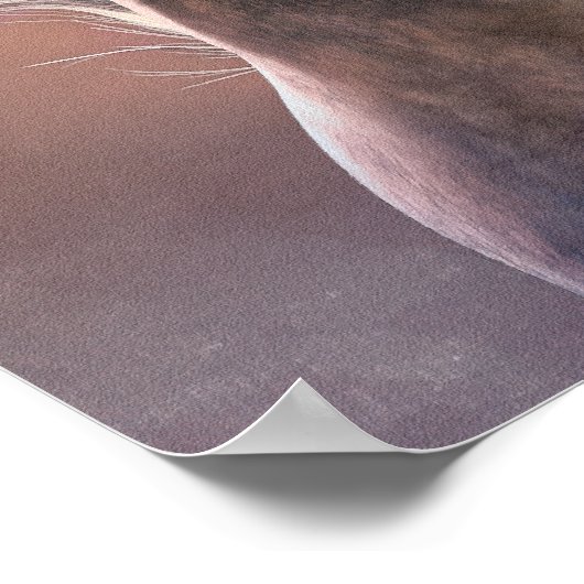 シエロ・ポスター ポスター (角)