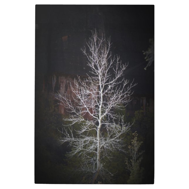 シオンのロニーの木 メタルプリント (正面)