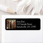 シオン国立公園のエメラルド・プール滝IV ラベル (インサイチュ)