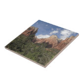 シオン国立公園の愛国者第二裁判所 タイル (側面)