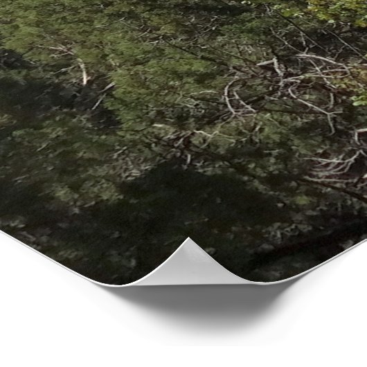 シオン国立公園の愛国者第二裁判所 ポスター (角)