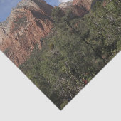 シオン国立公園の愛国者第二裁判所 薄葉紙 (詳細)