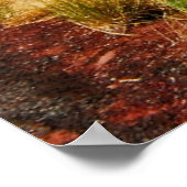 シオン国立公園を通る道路 ポスター (角)